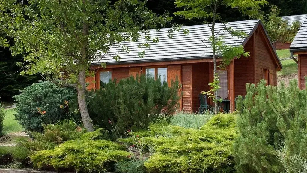 Chalet en bois entouré de végétation estivale au domaine Volcans Vacances