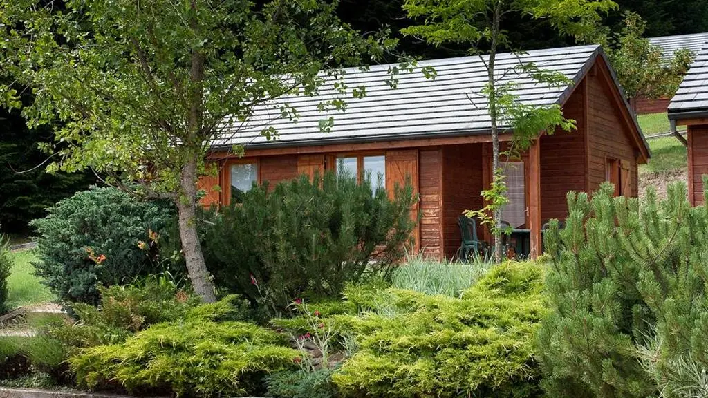 Chalet en bois entouré de végétation estivale au domaine Volcans Vacances